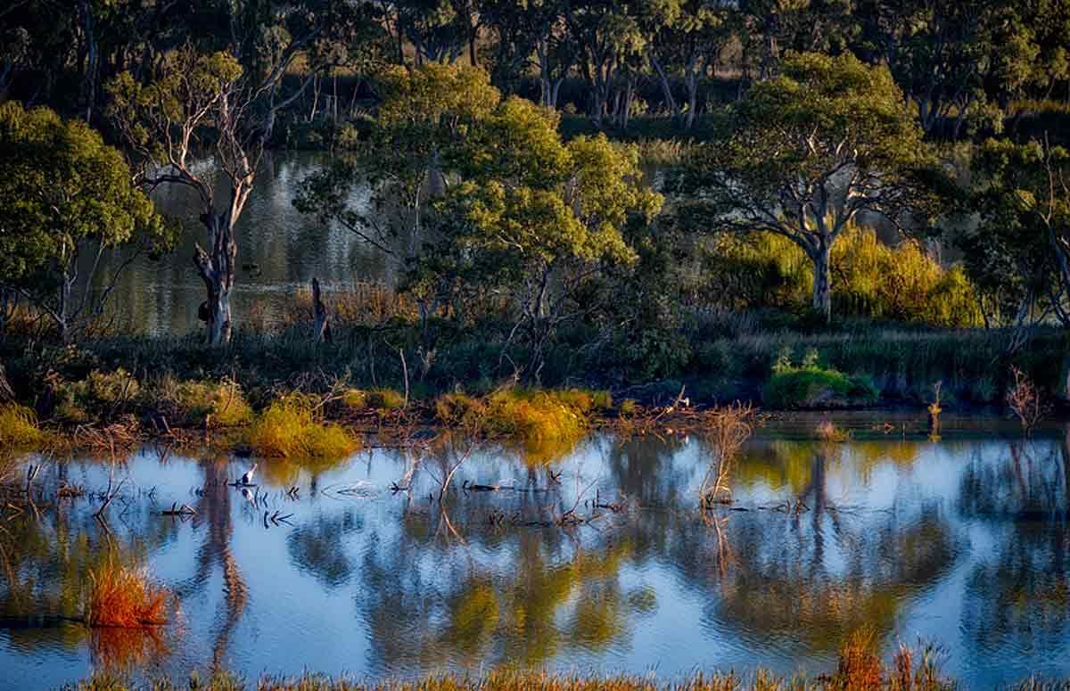 Riverview Rise Retreats Mannum Exterior photo